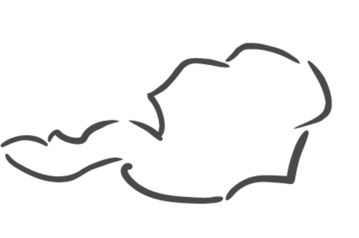 die elisabethinen in österreich